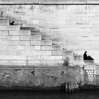 사용자6 프로필 사진