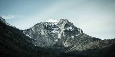 사용자1의 프로필 사진